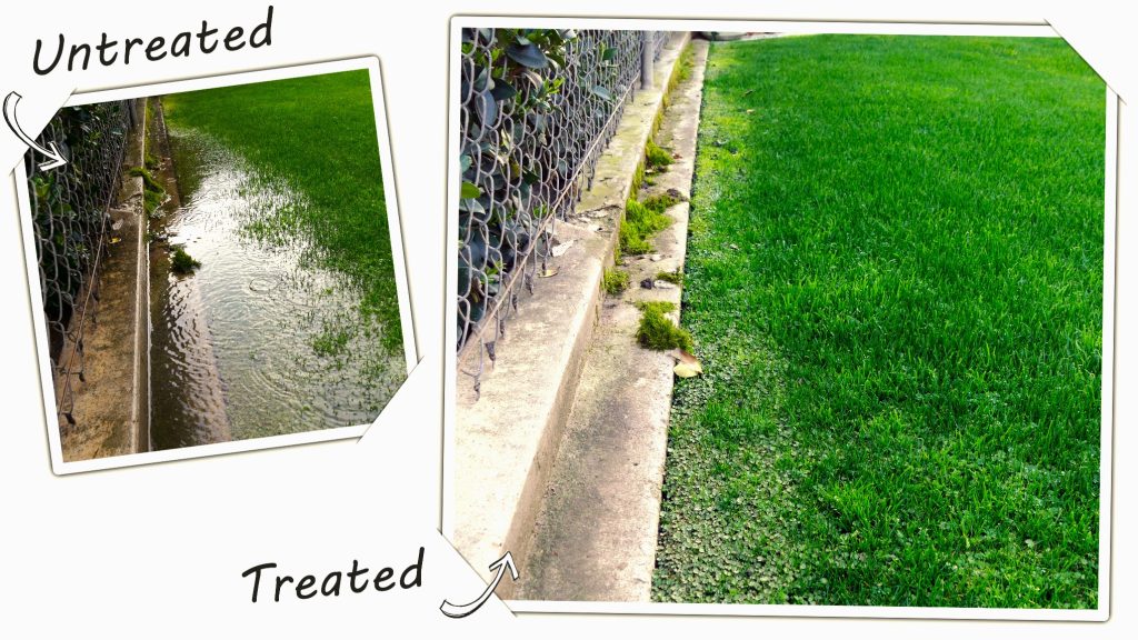 Ground Breaker™ by Green As It Gets™ Loosens Compacted Clay Soil. Look at this Before & After Pic of Untreated vs. Treated Lawn! Wow! There's no run-off after treating it with Ground Breaker!