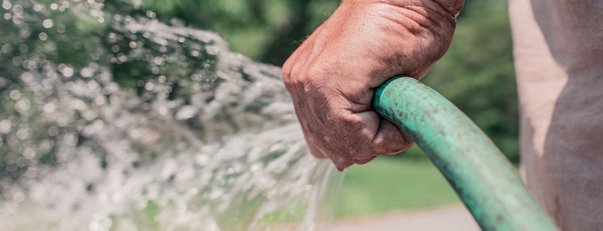 When do I need to water my plants? A few good tips to help you out Green As It Gets